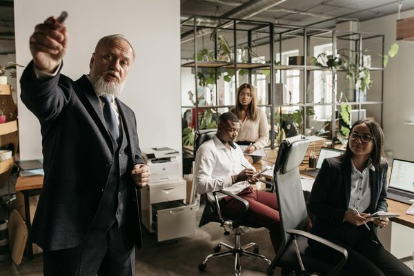 Maximizing Creativity: A UK Pet Accessory Brand's Playbook for Enhancing Product Highlights on Instagram Stories